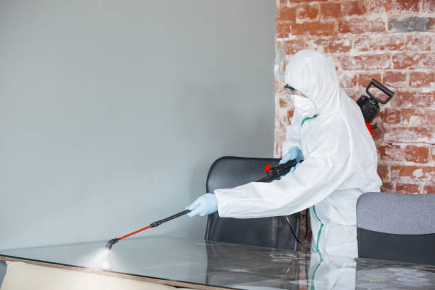 Best Dehumidification Services in Fayetteville, GA